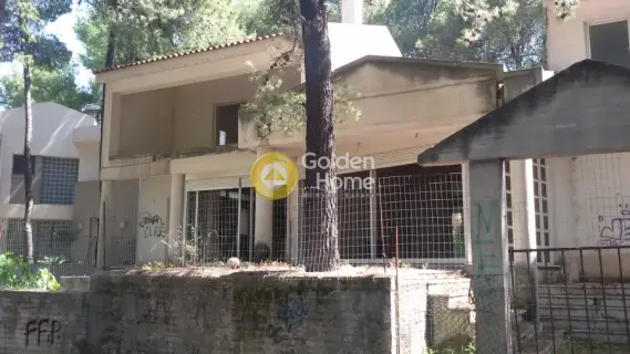 Μονοκατοικία 405τ.μ. προς πώληση φωτογραφία 1