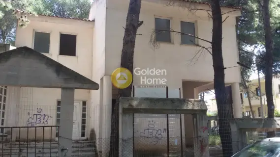 Μονοκατοικία 405τ.μ. προς πώληση φωτογραφία 2