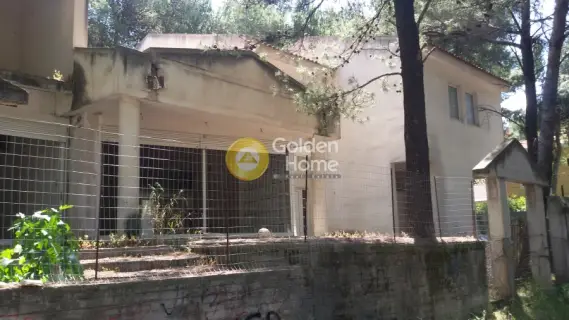 Μονοκατοικία 405τ.μ. προς πώληση φωτογραφία 3