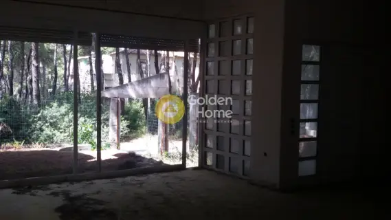 Μονοκατοικία 405τ.μ. προς πώληση φωτογραφία 4