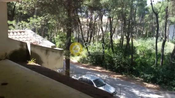 Μονοκατοικία 405τ.μ. προς πώληση φωτογραφία 5