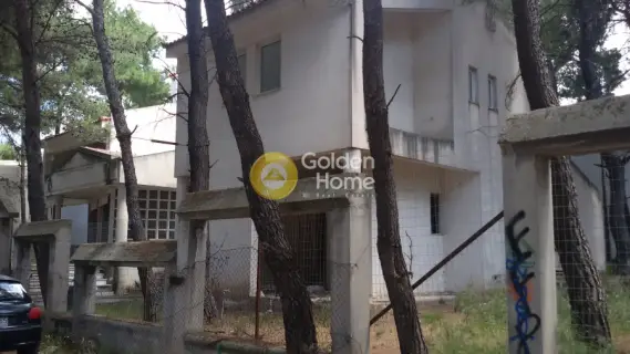 Μονοκατοικία 405τ.μ. προς πώληση φωτογραφία 21