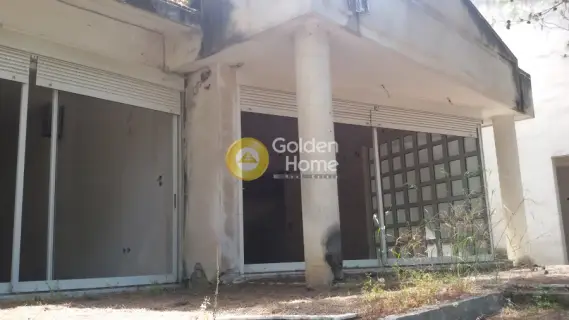 Μονοκατοικία 405τ.μ. προς πώληση φωτογραφία 22