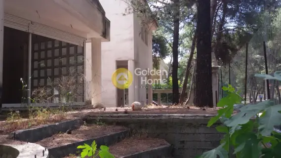 Μονοκατοικία 405τ.μ. προς πώληση φωτογραφία 23