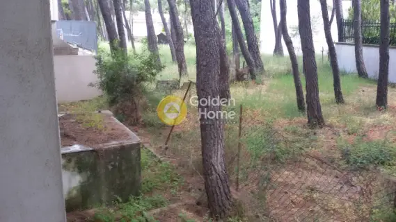 Μονοκατοικία 405τ.μ. προς πώληση φωτογραφία 28