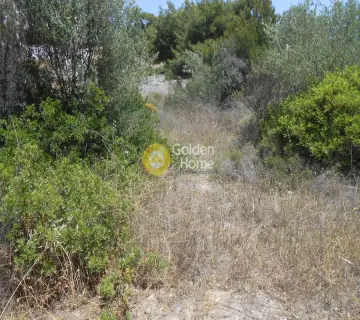 Residential 1000m<sup>2</sup> for sale photo 3