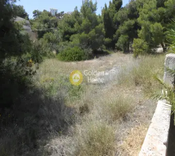 Residential 1000m<sup>2</sup> for sale photo 1