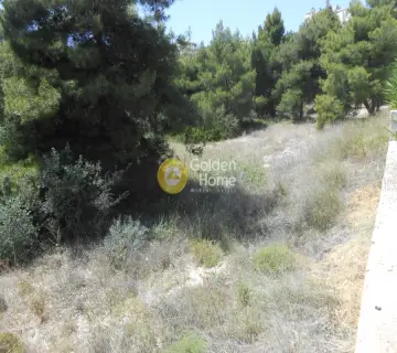 Residential 1000m<sup>2</sup> for sale photo 9