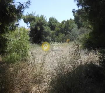 Residential 1000m<sup>2</sup> for sale photo 2