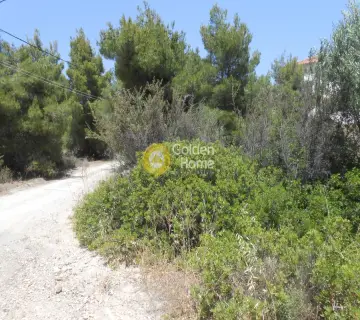 Residential 1000m<sup>2</sup> for sale photo 12