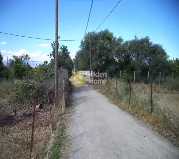 Residential 1200m<sup>2</sup> for sale photo 3
