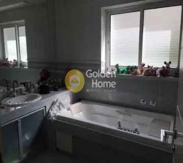 Μονοκατοικία 460τ.μ. προς πώληση φωτογραφία 27