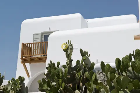 Villa 383m<sup>2</sup> for rent photo 17