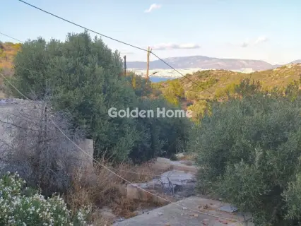 Μονοκατοικία 150τ.μ. προς πώληση φωτογραφία 39