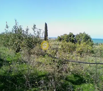 Residential 6625m<sup>2</sup> for sale photo 1