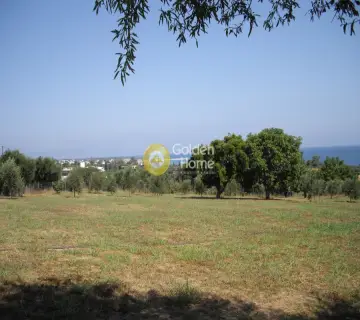 Residential 6625m<sup>2</sup> for sale photo 5
