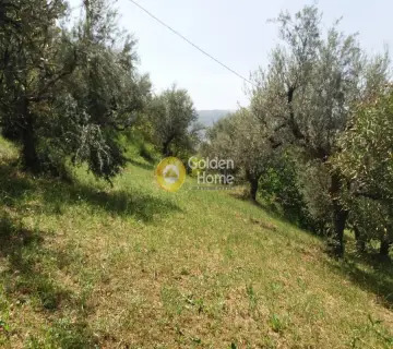 Residential 589m<sup>2</sup> for sale photo 5