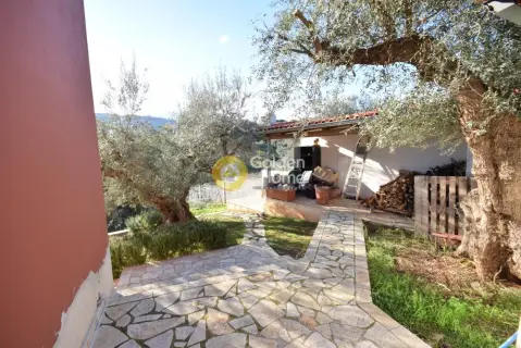 House 220m<sup>2</sup> for sale photo 1287456