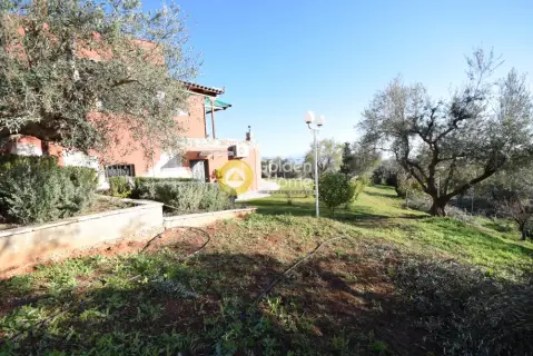 House 220m<sup>2</sup> for sale photo 1287483