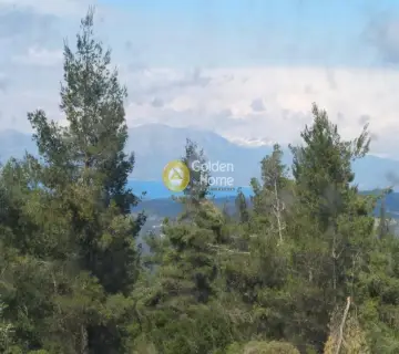 Μονοκατοικία 606τ.μ. προς πώληση φωτογραφία 1