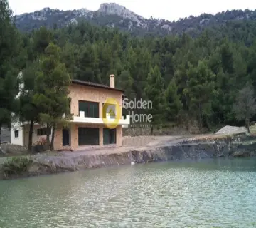 Μονοκατοικία 606τ.μ. προς πώληση φωτογραφία 8