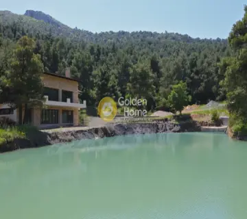 Μονοκατοικία 606τ.μ. προς πώληση φωτογραφία 13