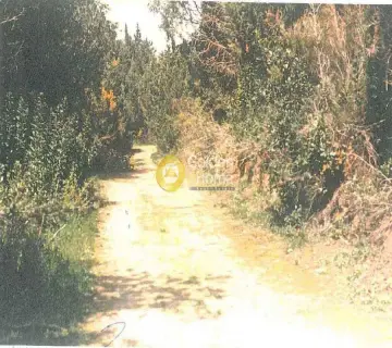 Professional Plot 300000m<sup>2</sup> for sale photo 1