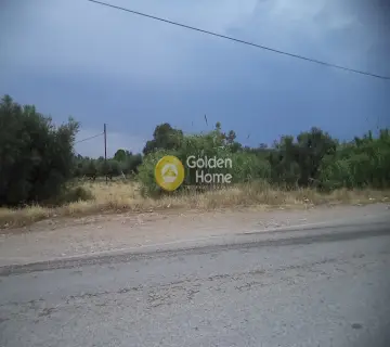 Professional Plot 3500m<sup>2</sup> for sale photo 3