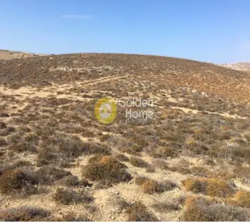 Professional Plot 55787m<sup>2</sup> for sale photo 1