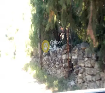 Αγροτεμάχιο 400τ.μ. προς πώληση φωτογραφία 2