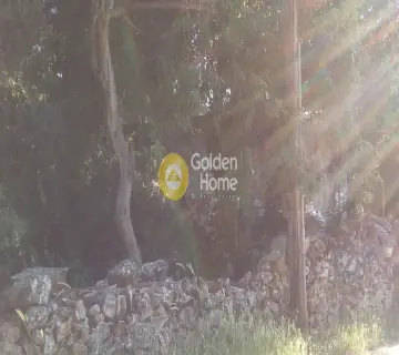 Αγροτεμάχιο 400τ.μ. προς πώληση φωτογραφία 3