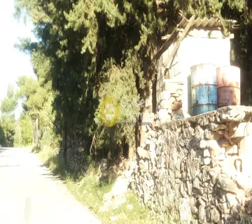 Αγροτεμάχιο 400τ.μ. προς πώληση φωτογραφία 4