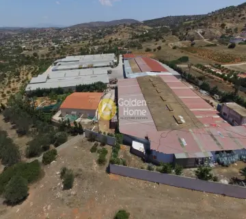 Πώληση Επιχείρησης 22500τ.μ. προς πώληση φωτογραφία 8