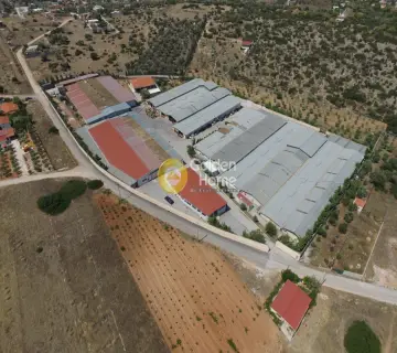 Πώληση Επιχείρησης 22500τ.μ. προς πώληση φωτογραφία 3