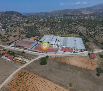 Πώληση Επιχείρησης 22500τ.μ. προς πώληση φωτογραφία 2
