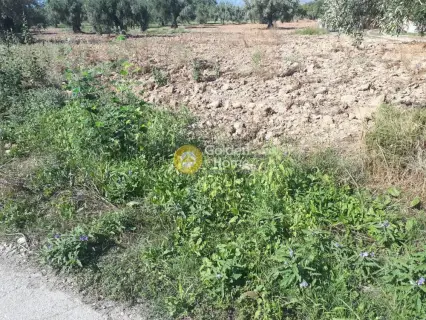Οικιστικό 1740τ.μ. προς πώληση φωτογραφία 3
