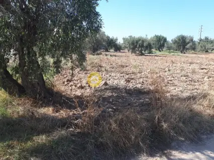 Οικιστικό 1740τ.μ. προς πώληση φωτογραφία 4