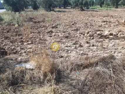 Οικιστικό 1740τ.μ. προς πώληση φωτογραφία 5137321