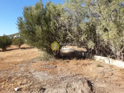 Residential 1800m<sup>2</sup> for sale photo 4