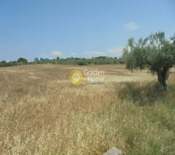 Professional Plot 12500m<sup>2</sup> for sale photo 1