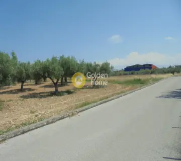 Professional Plot 12500m<sup>2</sup> for sale photo 3