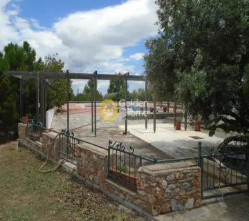 Independent Building 3800m<sup>2</sup> for rent photo 6