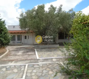 Independent Building 3800m<sup>2</sup> for rent photo 7