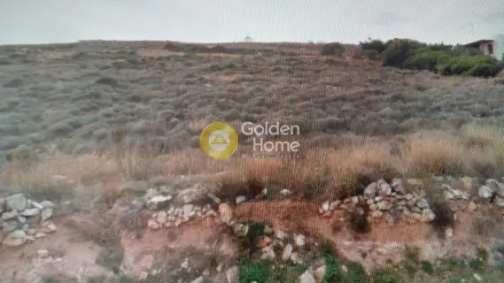 Residential 2000m<sup>2</sup> for sale photo 3