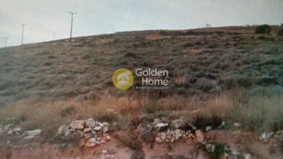 Residential 2000m<sup>2</sup> for sale photo 2