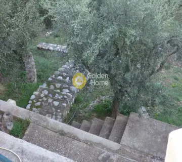 Μονοκατοικία 180τ.μ. προς πώληση φωτογραφία 24