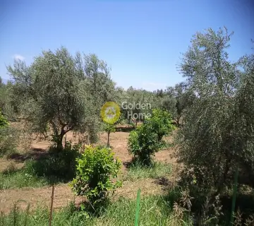 Parcel 10200m<sup>2</sup> for sale photo 2