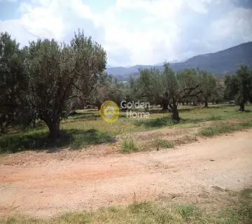 Residential 2980m<sup>2</sup> for sale photo 1