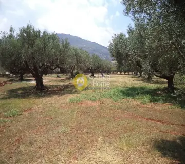 Residential 2980m<sup>2</sup> for sale photo 2
