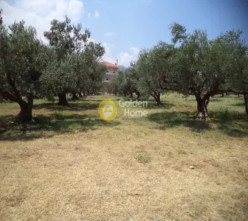 Residential 2980m<sup>2</sup> for sale photo 3